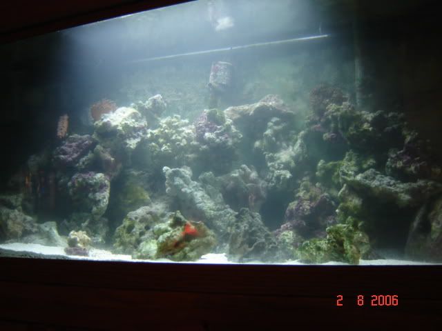 DSC00870.jpg