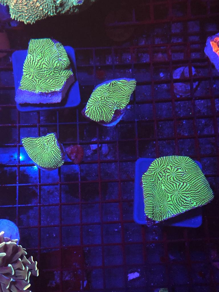 1860558589291093c45714b081107800.jpg