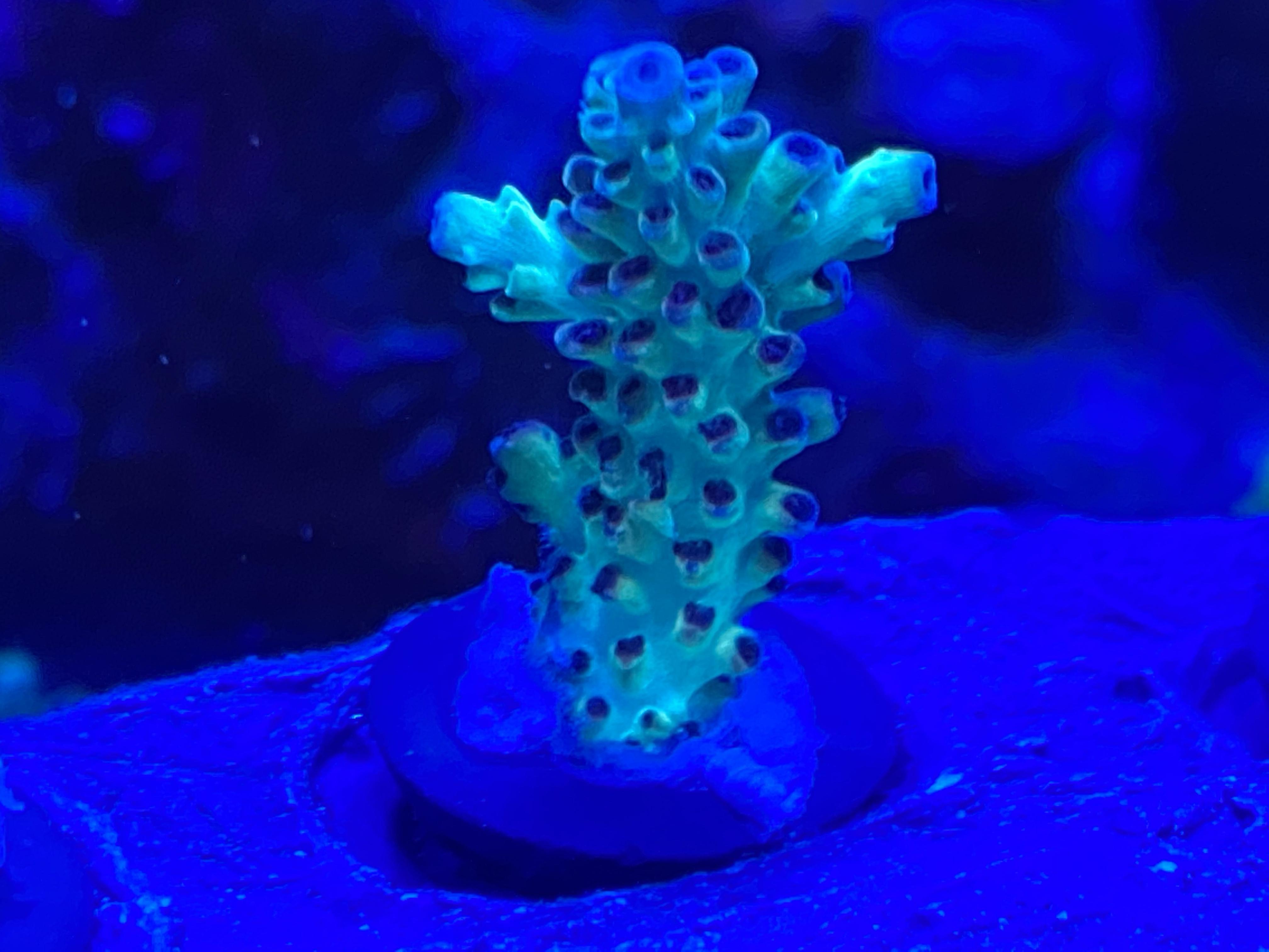 c1e46e31fd1c51153ab1cba926c7c86d.jpg