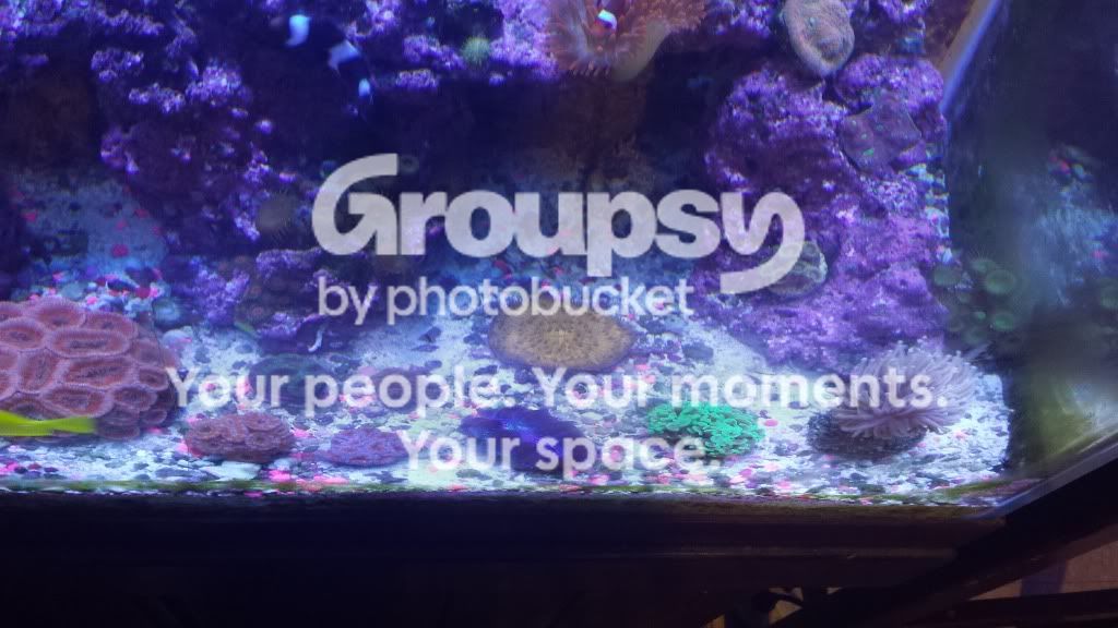 20130912_124641.jpg