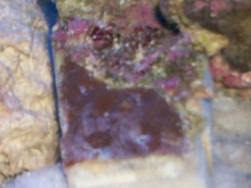 100_0006.jpg