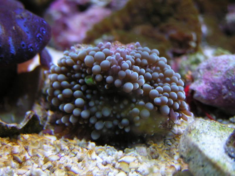 PICT0167.jpg