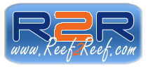 reef2reef.png