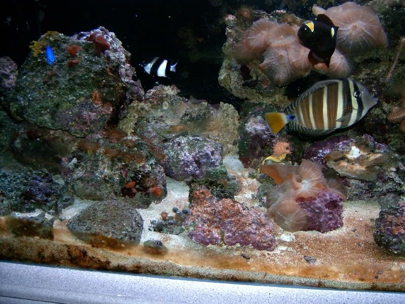 Picture219.jpg