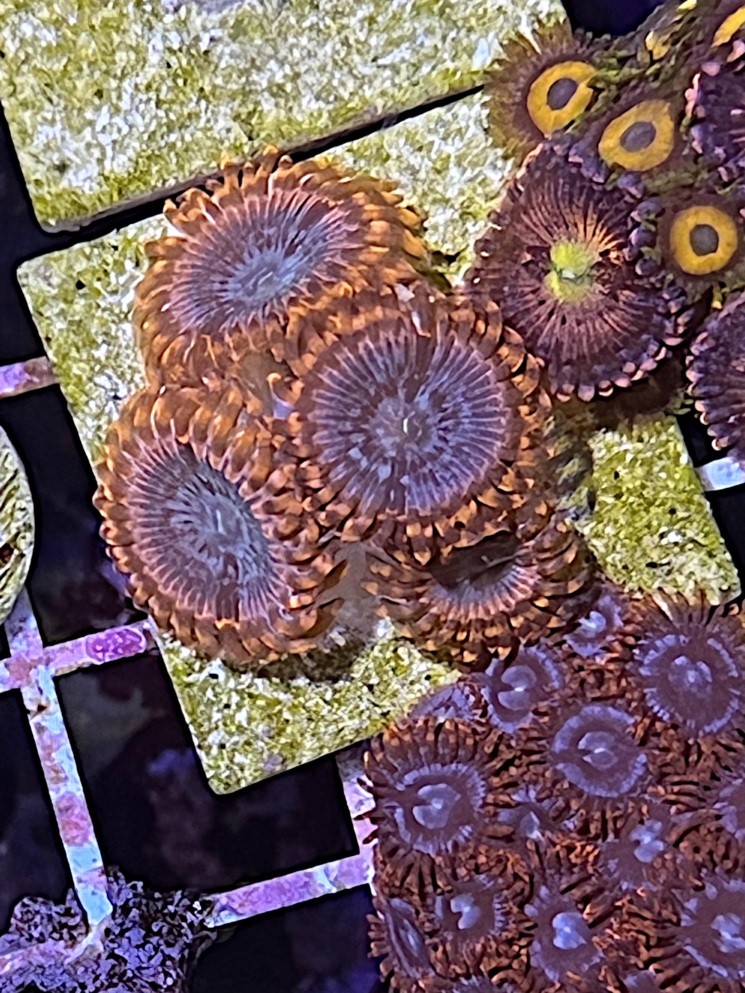 8246fe6f97d92cc3831460980698d8a0.jpg