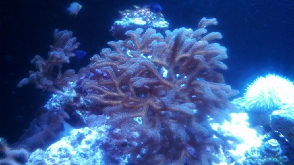IMG_20131209_190254_953.jpg