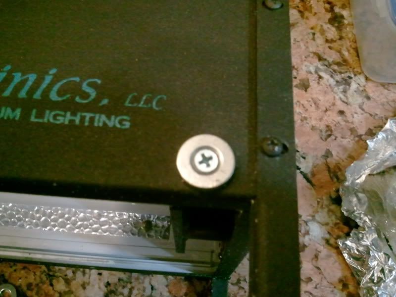 2012-12-29110038-1.jpg