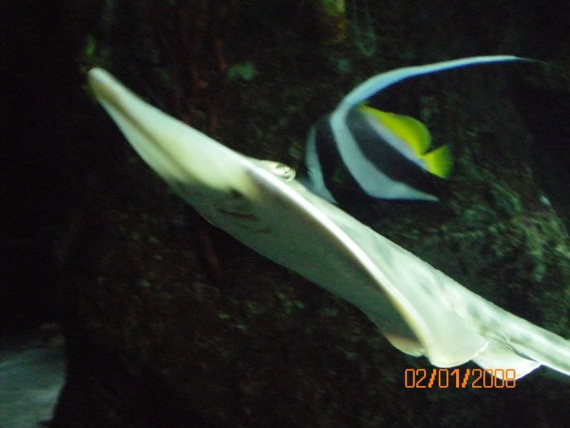 100_0119.jpg