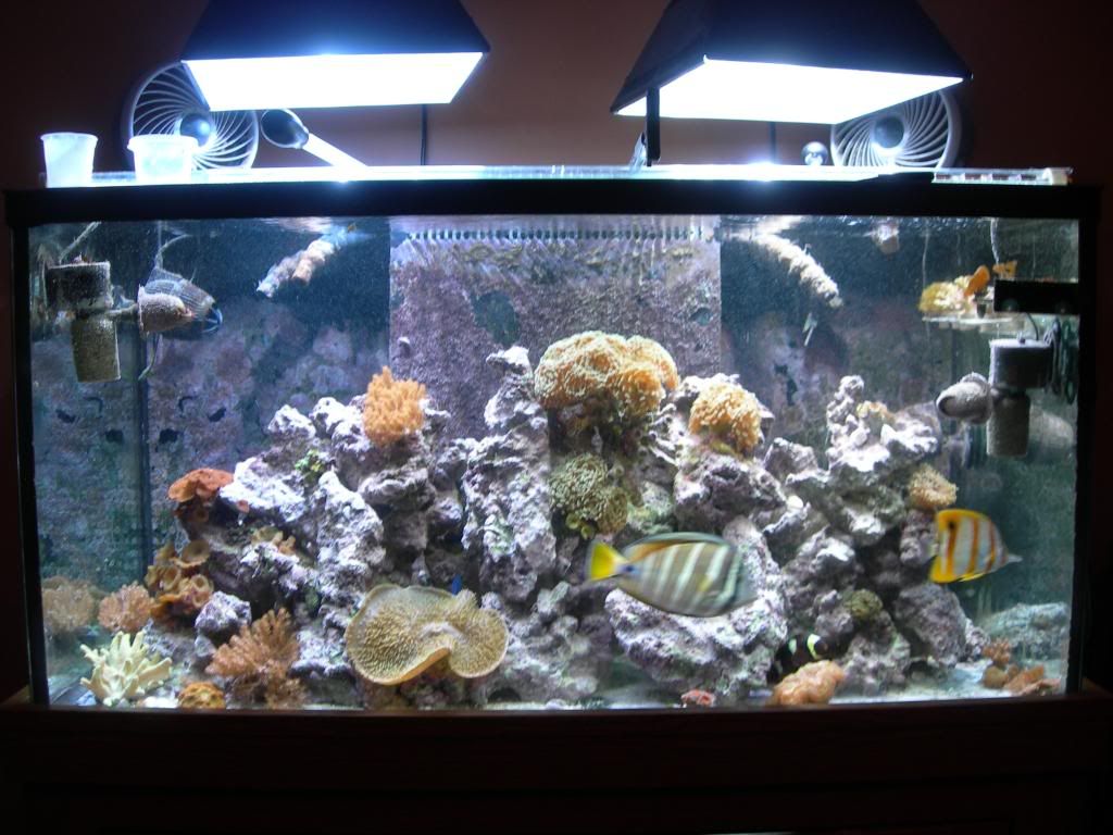 DSCN2295.jpg