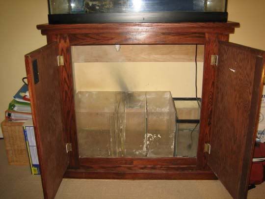 65g.jpg