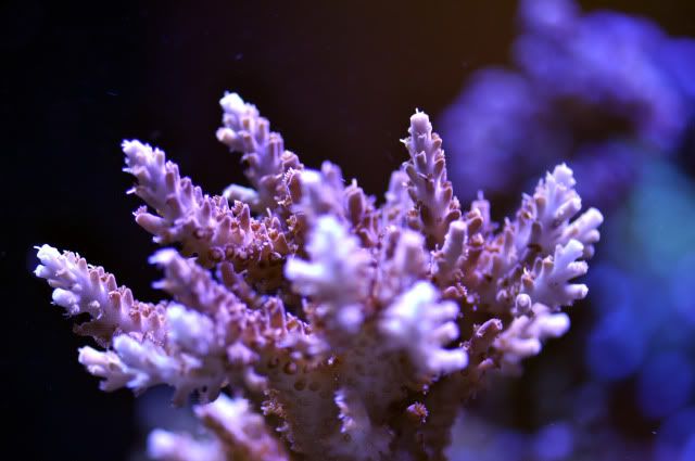 DSC_0607_edited-1.jpg