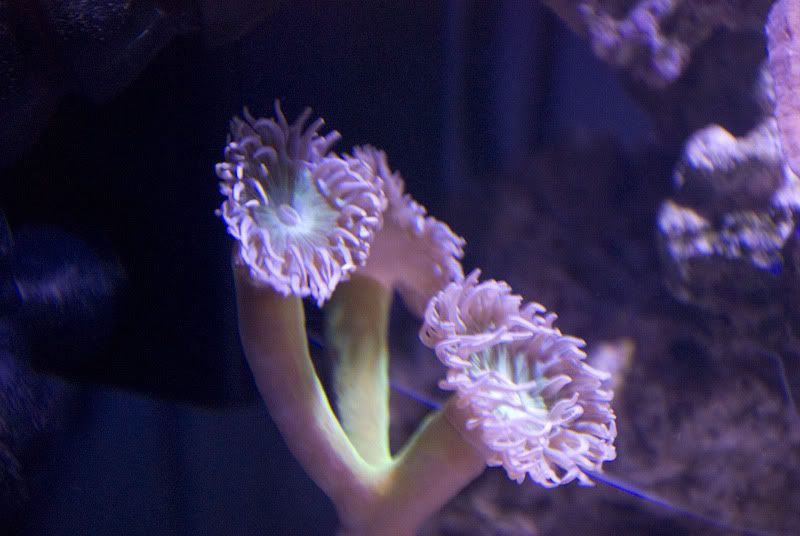 DSC_4290.jpg