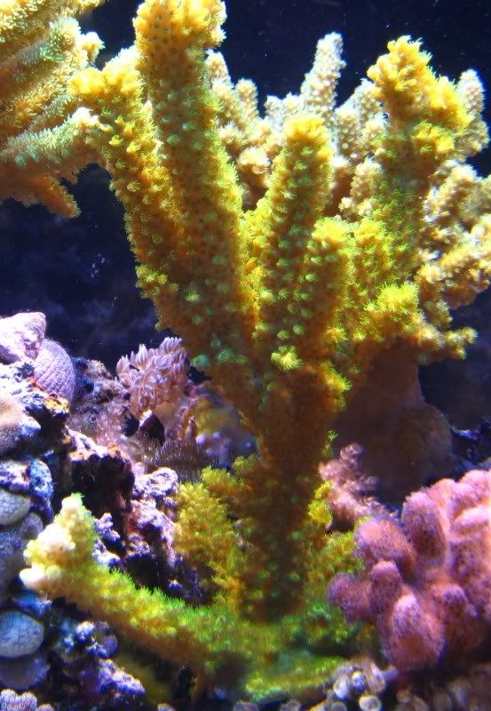 IMG_2562.jpg