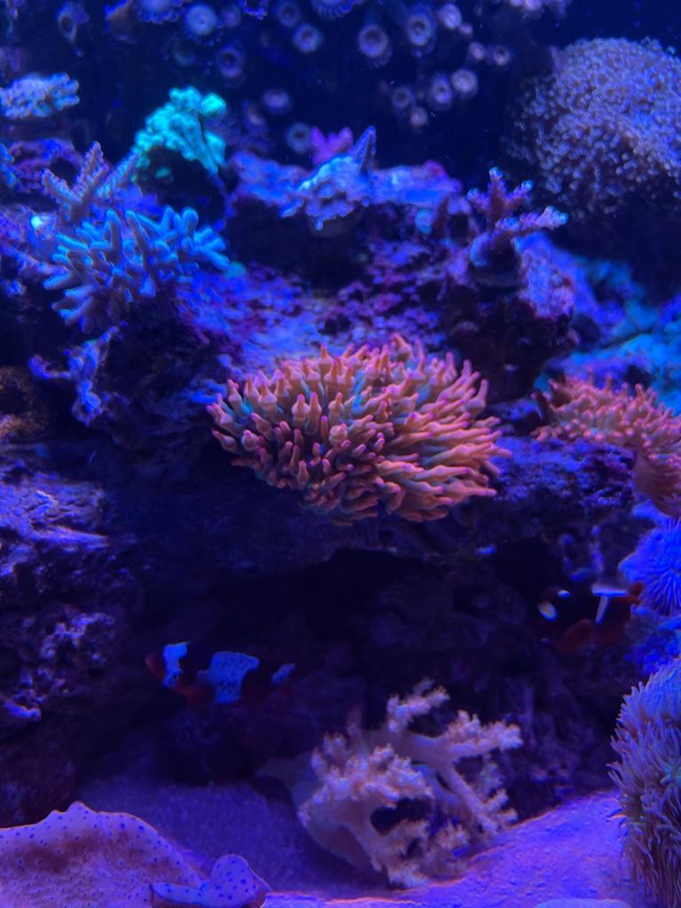6cb3e22d5b1f9494aa206b1ed646fe40.jpg
