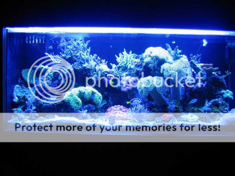 FTS.jpg
