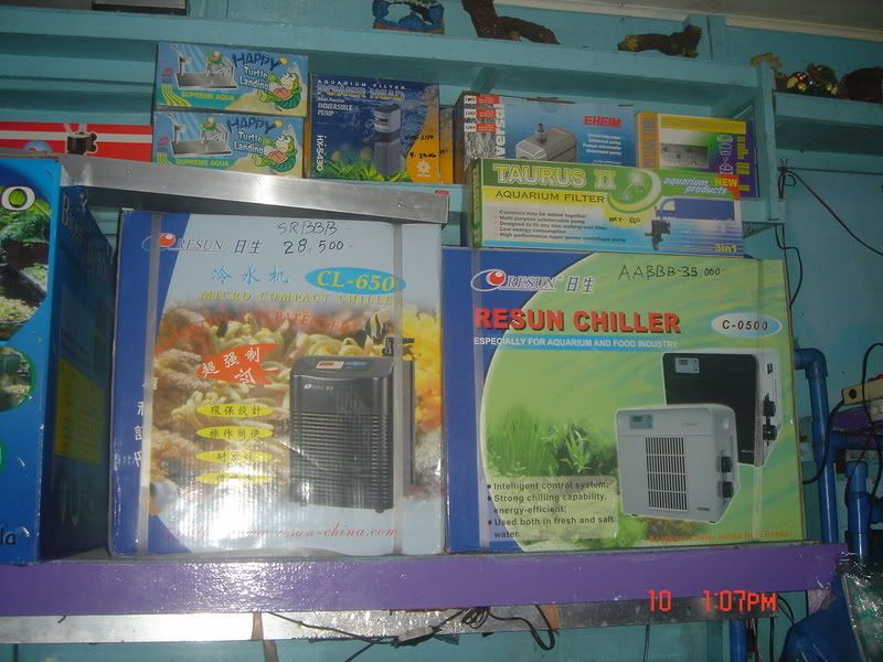 DSC08645.jpg