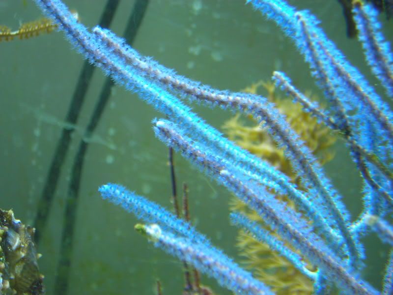 DSCN2027.jpg
