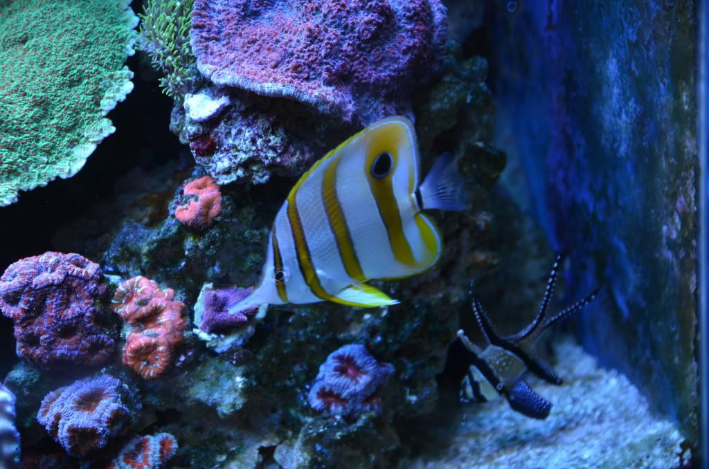 DSC_1828.jpg