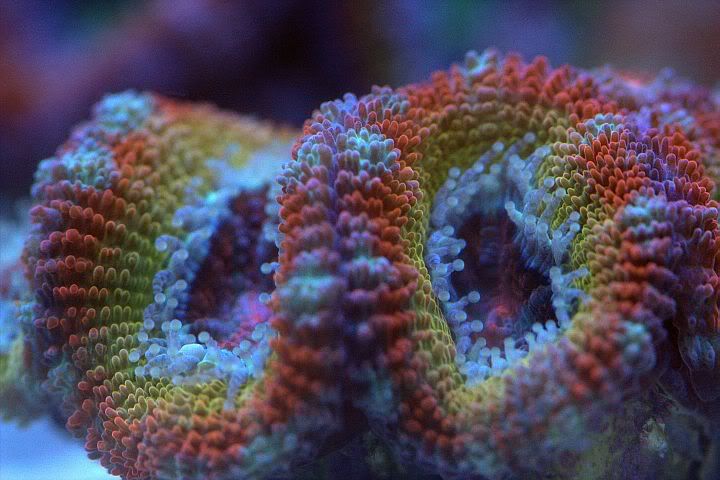 rainbow2-1.jpg