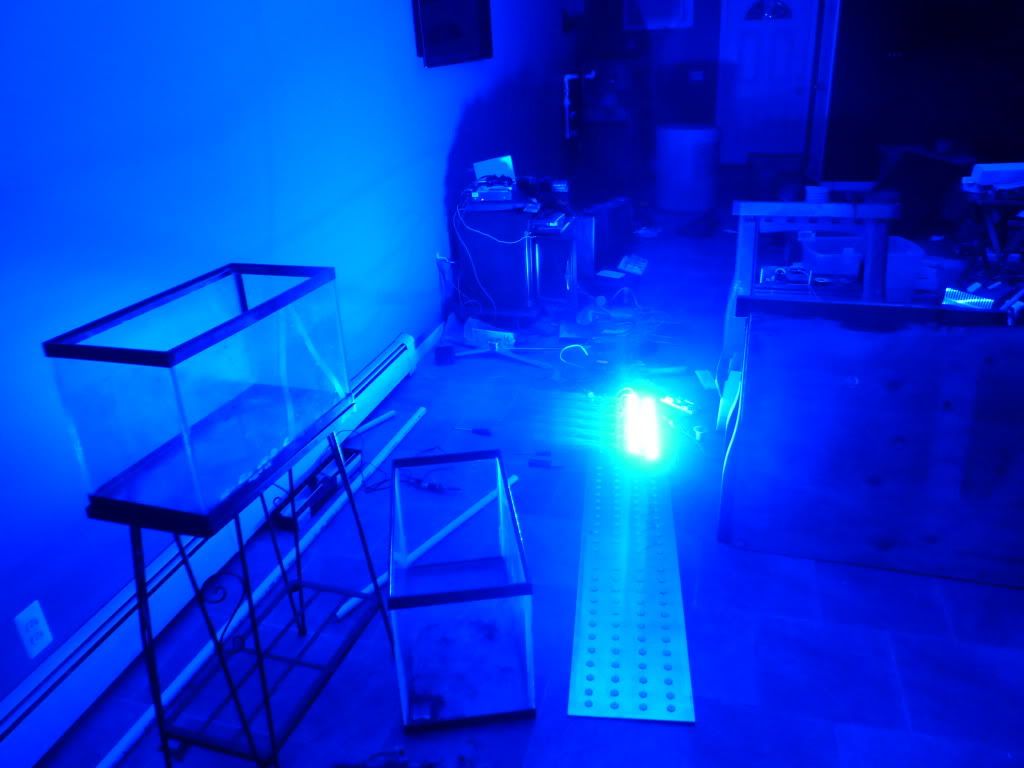 P1010174.jpg