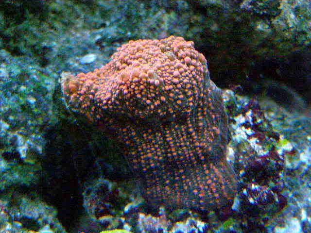 PB040219.jpg