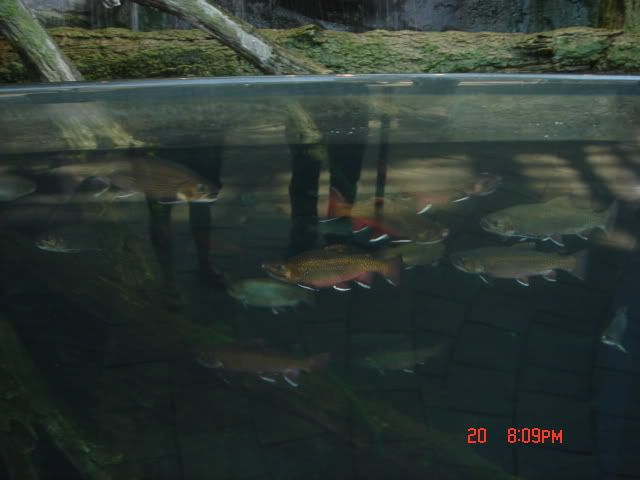 DSC01312.jpg