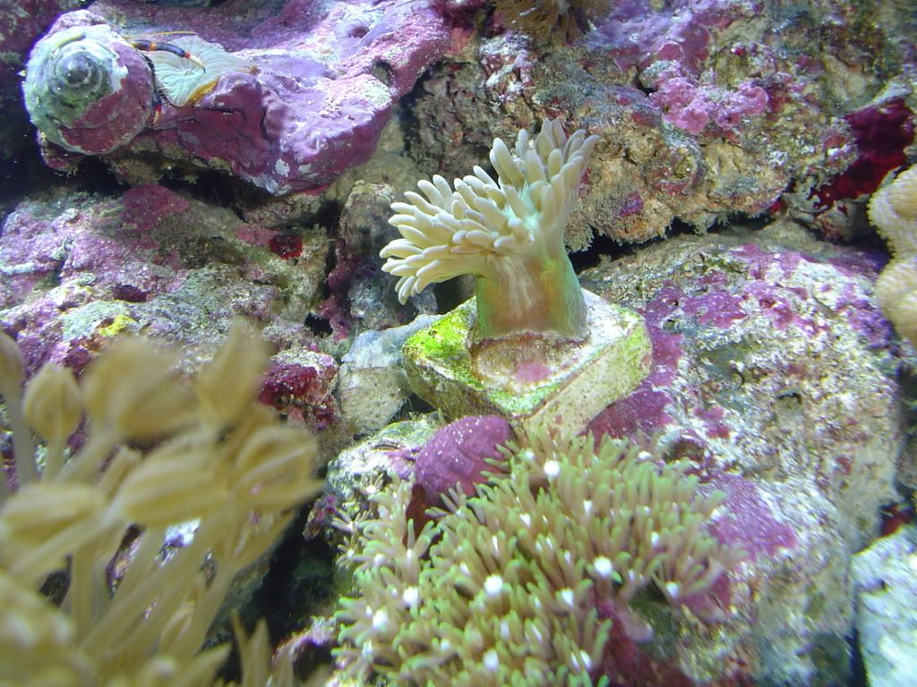 Picture023.jpg