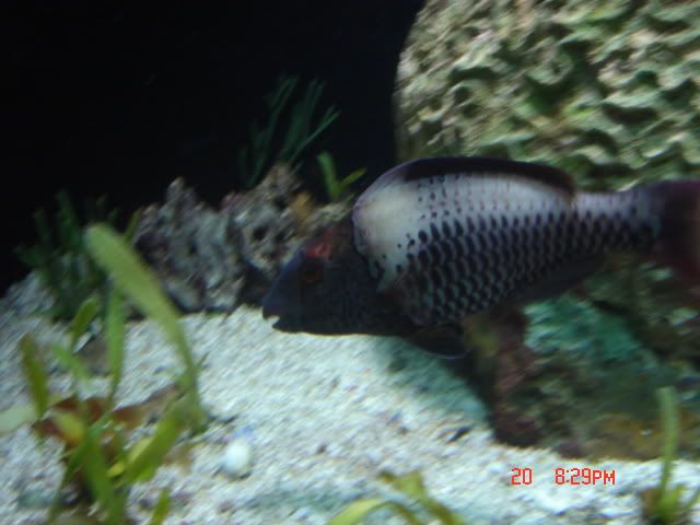 DSC01364.jpg