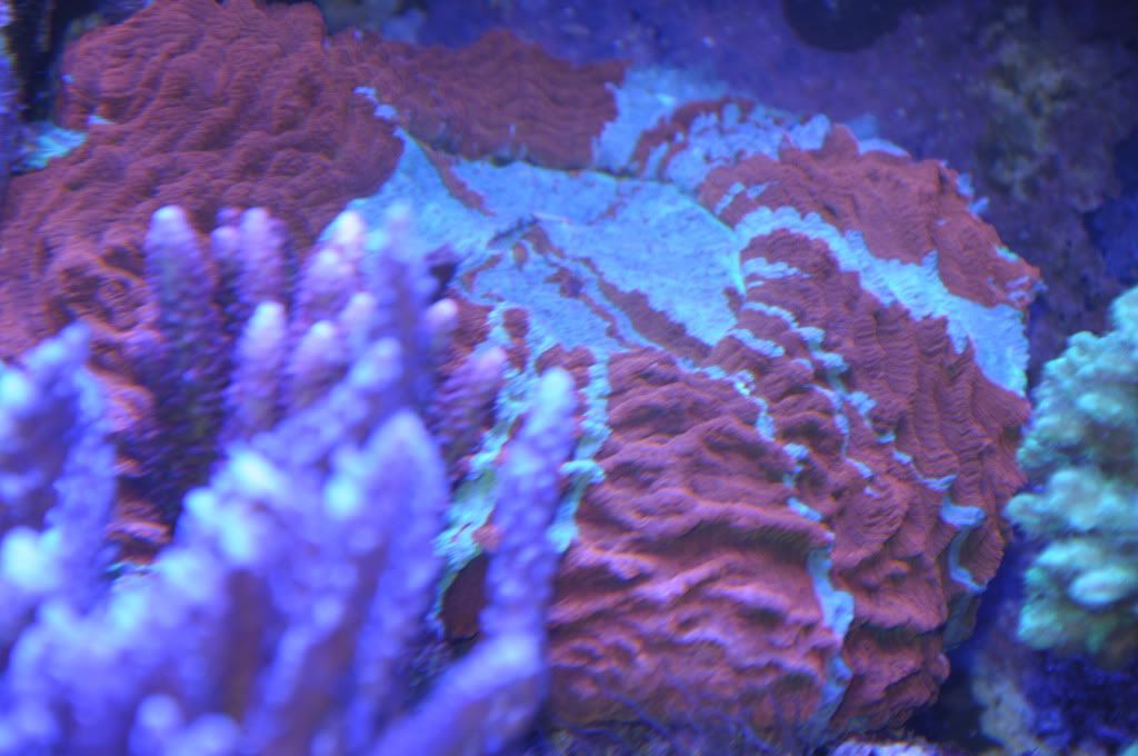 DSC_1313.jpg
