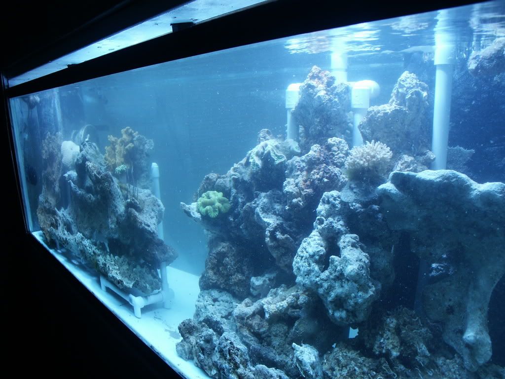 PICT0249.jpg