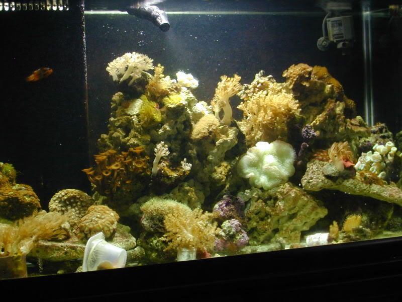 oceanic6.jpg