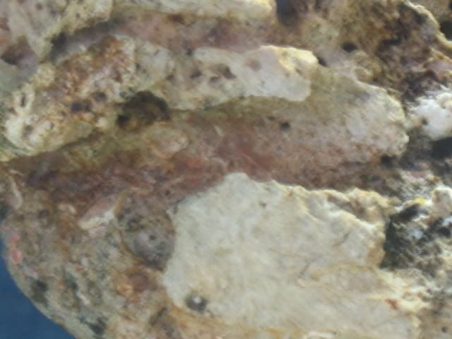IMG_91151.jpg