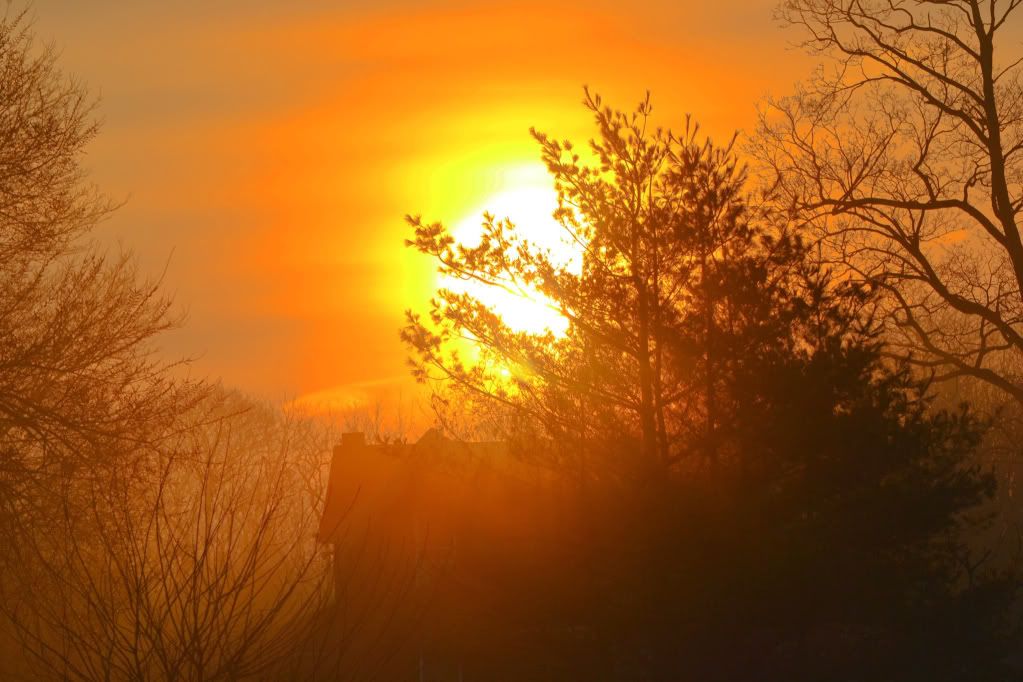 a755f32d.jpg