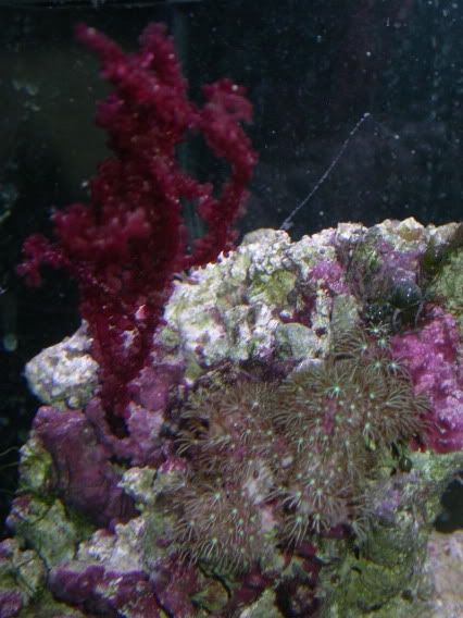 DSCN1576.jpg