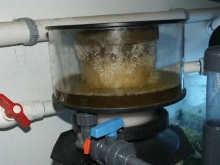 PICT0119.jpg