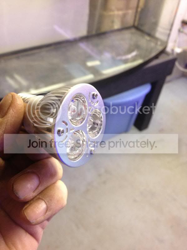 image_zpsb8e98bb4.jpg