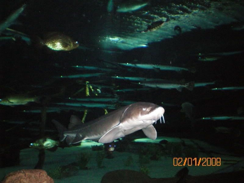 100_0170.jpg