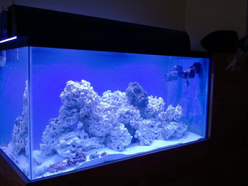 2011-03-28170402.jpg
