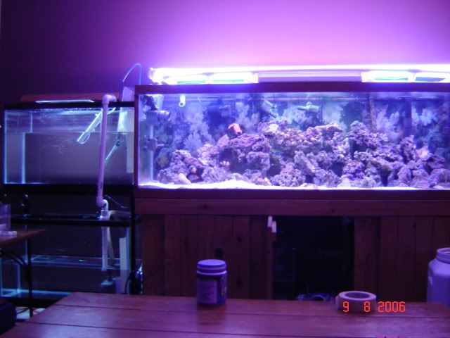 DSC00902.jpg