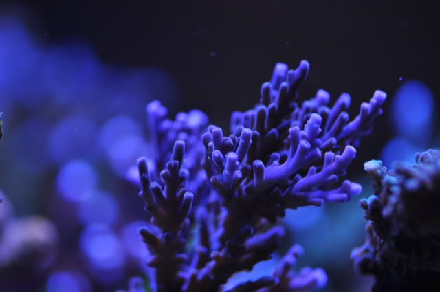 DSC_0619.jpg