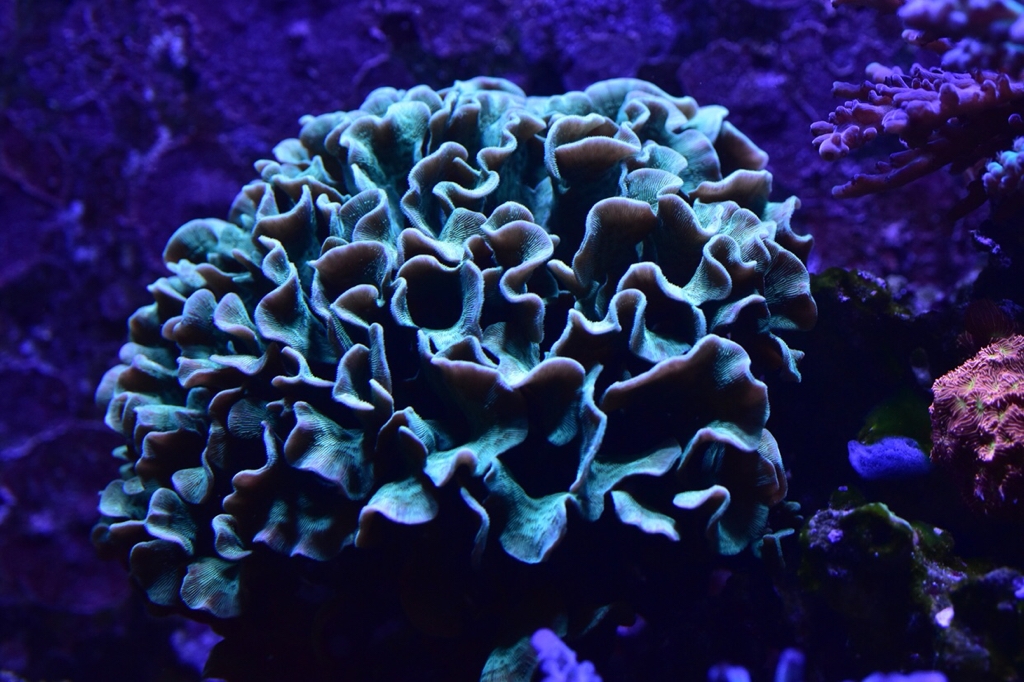 20bc1706b7490b2c71f913989bc7d6e0.jpg