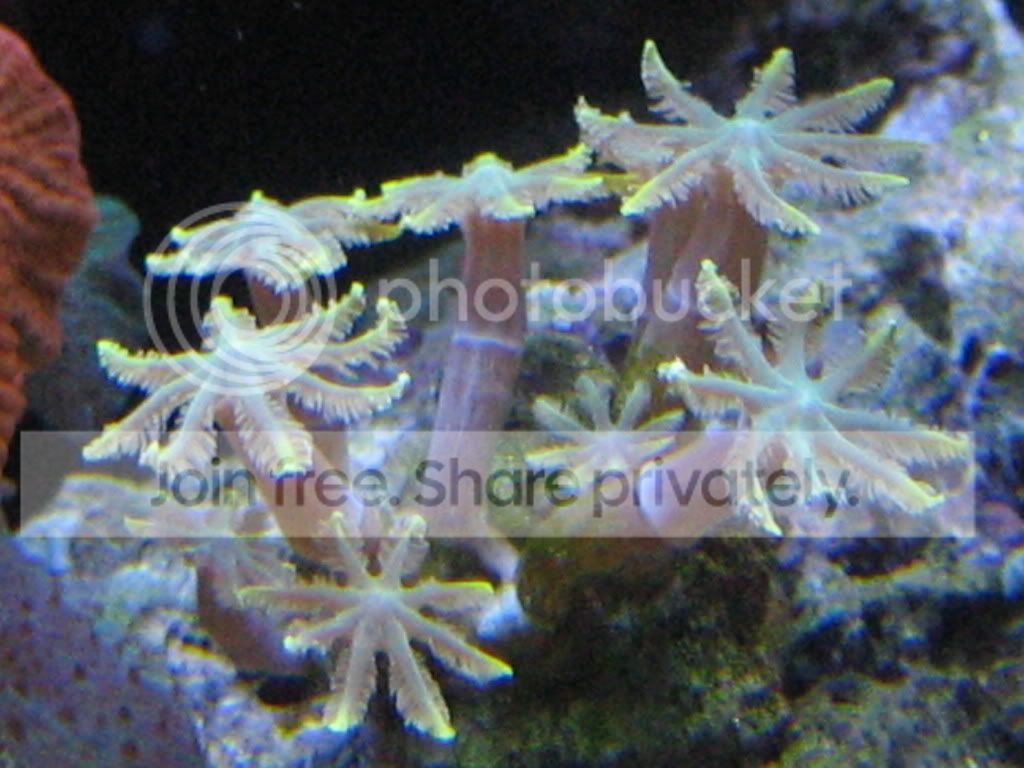 IMG_0857.jpg