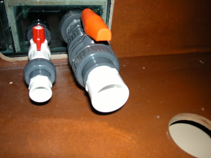 DSCN2444.jpg
