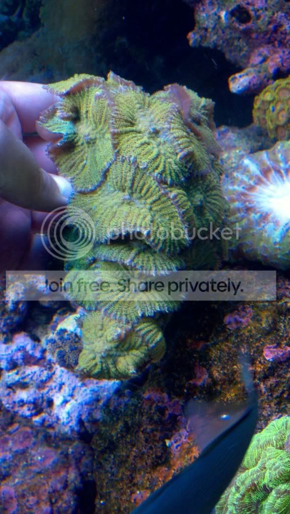 2011-08-12_21-14-34_626.jpg