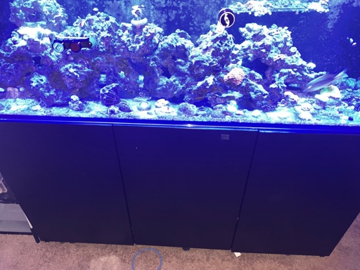 d93b6eda18c1535afda9c4b3d1965882.jpg