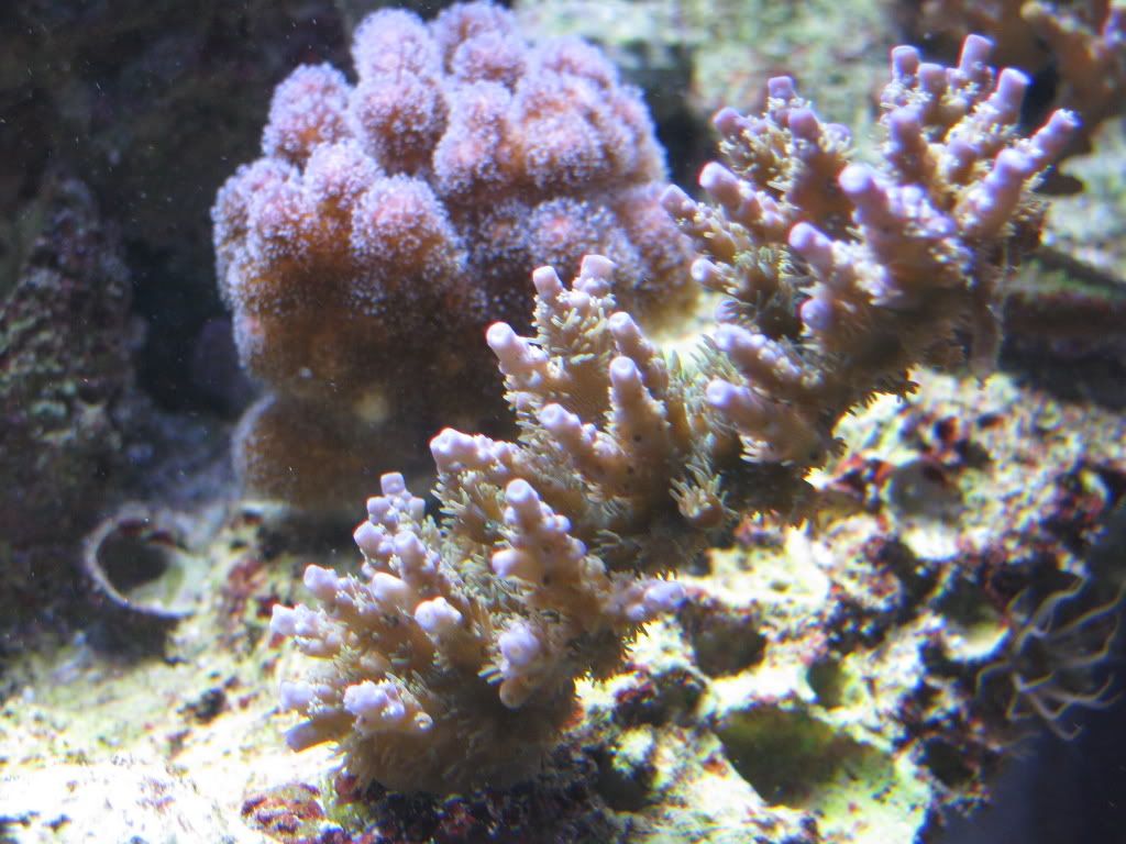 IMG_0186.jpg