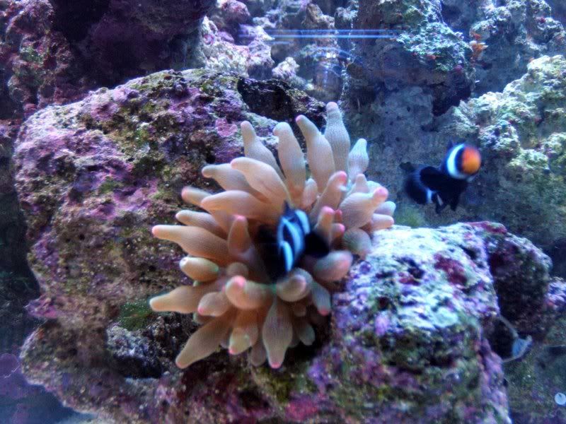 DSCF1120.jpg