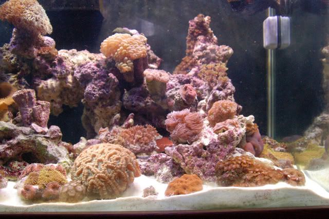 120g_right02.jpg