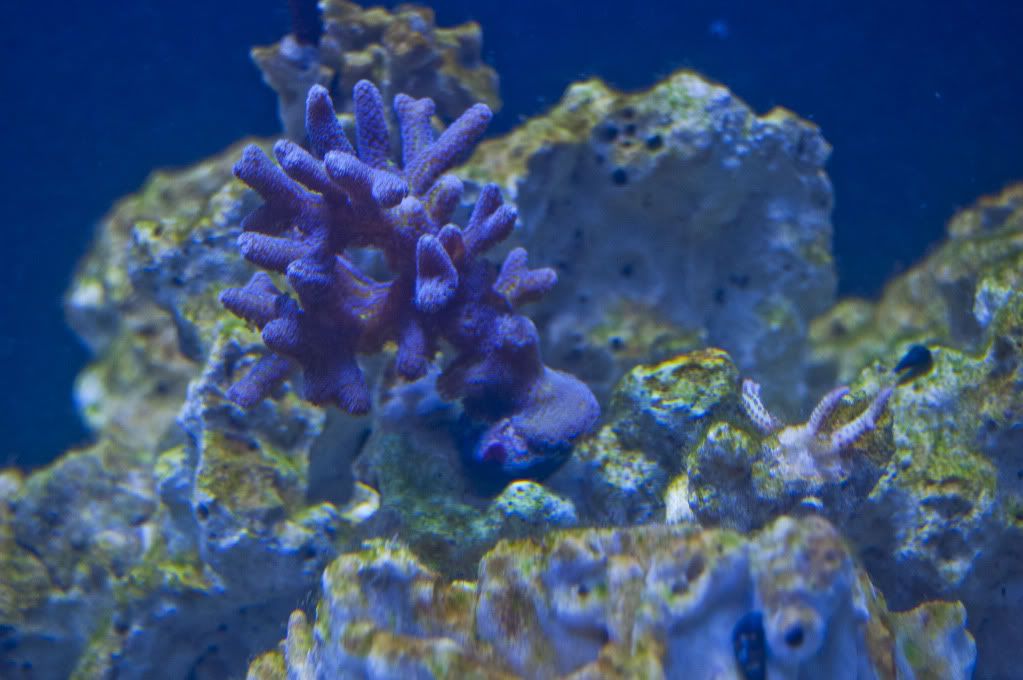DSC_0296.jpg