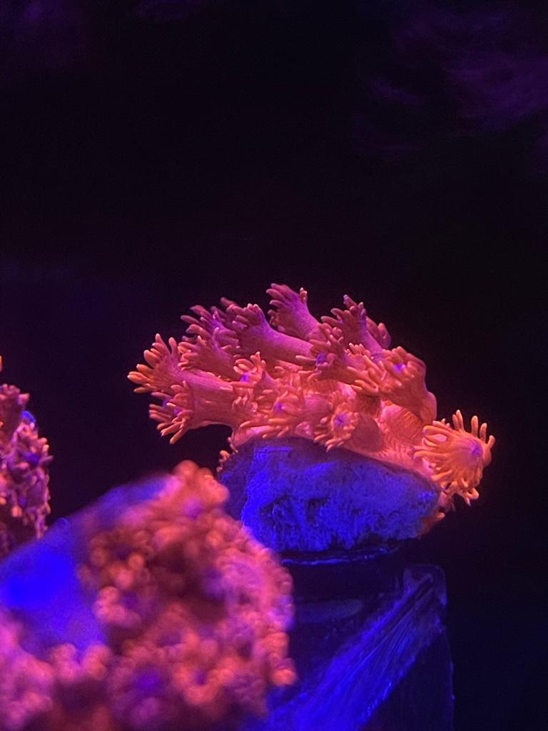 bf000dd00e09bc712a10d9e11986d07d.jpg